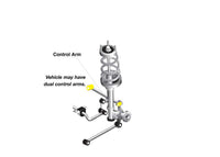 Whiteline Rear Control arm - lower inner and outer bushing W61442