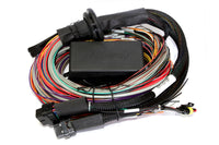 Haltech Elite 2500 + Premium Universal Wire-in Harness Kit