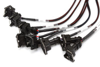 Haltech Elite 2500 + GM GEN III LS1 & LS6 non DBW Terminated Harness Kit
