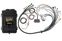 Haltech Elite 2500 + Ford Coyote 5.0 Late Cam Solenoid Terminated Harness Kit